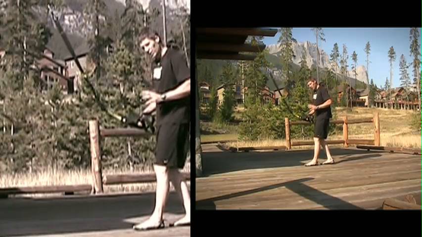 TRX Back and Triceps Workout