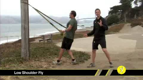 TRX Low Deltoid Fly