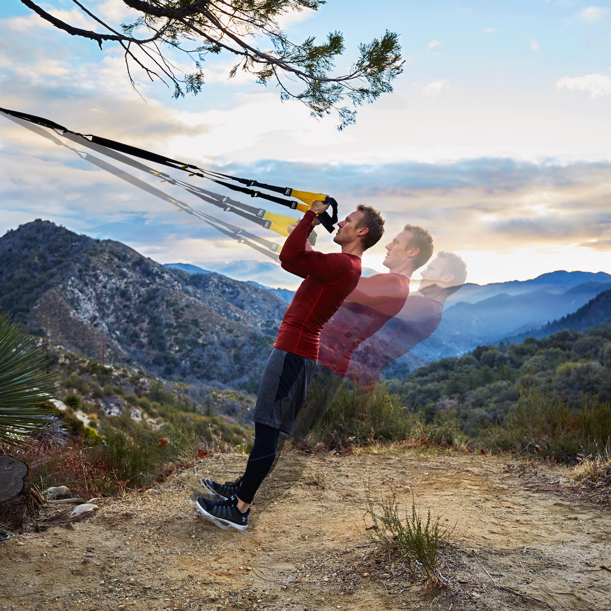 5 TRX Bicep Workouts You Should Be Doing Daily