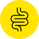Digestive Support* image